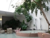06-fontana_s_rostlinami