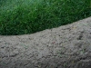 07-sila_koberce_2,5 cm