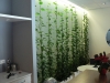 philodendron_scandens