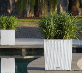 cube_cottage