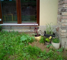 pred_upravou_plochy.jpg
