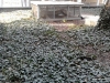 02-terasa_pred_realizaci