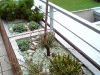 04-Vysadba_rostlin