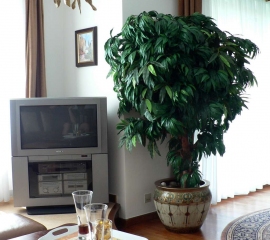 umělý strom.jpg
