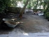 01-pred_realizaci
