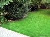 04-travni_koberec