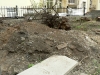 4.pred_realizaci zahrady