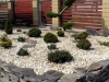 09-bonsai