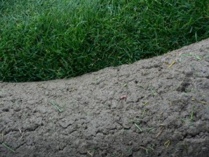 Travní koberec tloušťka 2,5 cm